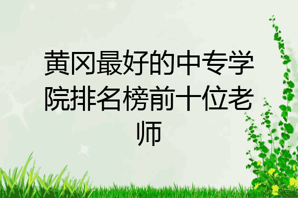 黄冈最好的中专学院排名榜前十位老师