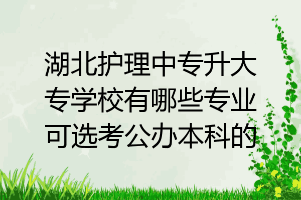 湖北护理中专升大专学校有哪些专业可选考公办本科的