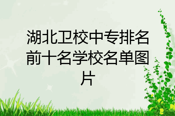 湖北卫校中专排名前十名学校名单图片