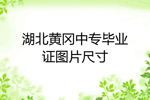 湖北黄冈中专毕业证图片尺寸