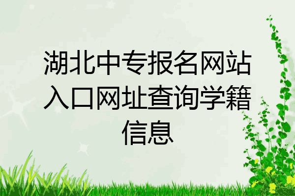湖北中专报名网站入口网址查询学籍信息