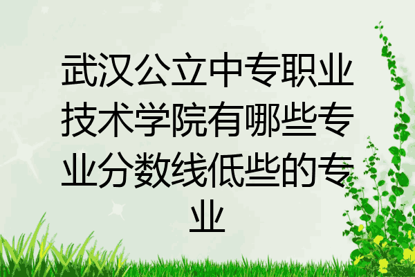 武汉公立中专职业技术学院有哪些专业分数线低些的专业