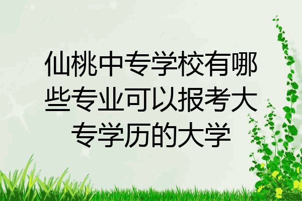 仙桃中专学校有哪些专业可以报考大专学历的大学