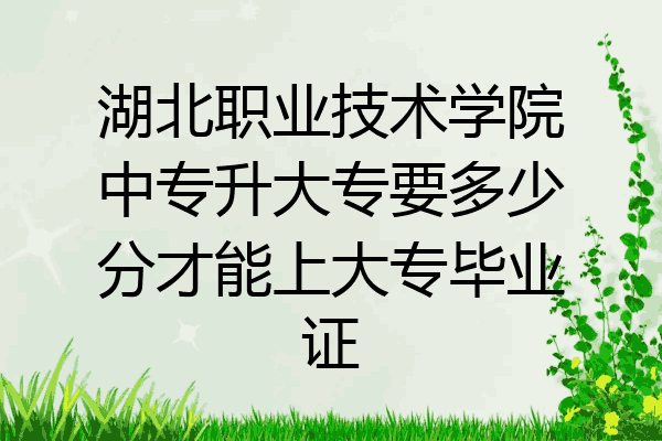 湖北职业技术学院中专升大专要多少分才能上大专毕业证