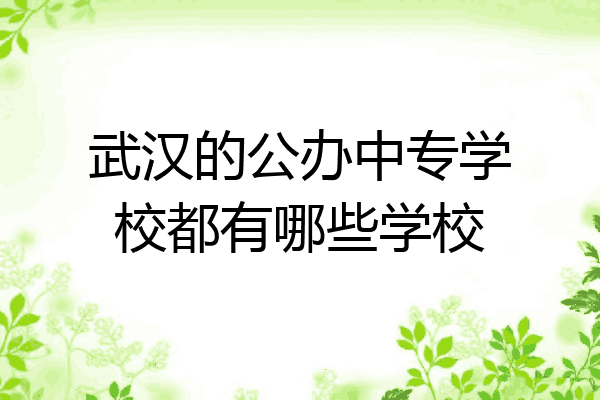 武汉的公办中专学校都有哪些学校
