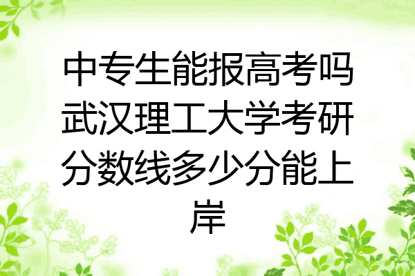 中专生能报高考吗武汉理工大学考研分数线多少分能上岸
