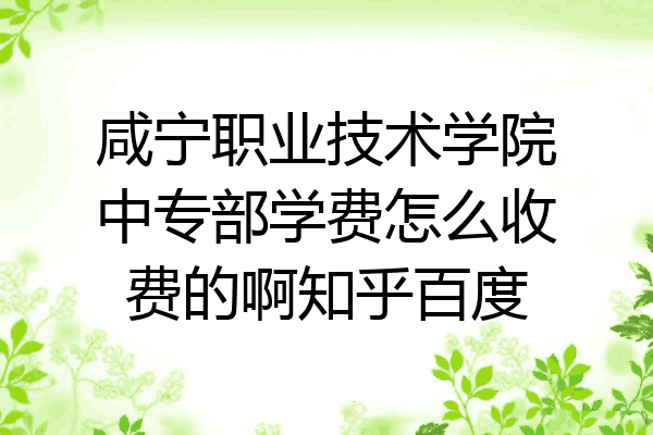 咸宁职业技术学院中专部学费怎么收费的啊知乎百度