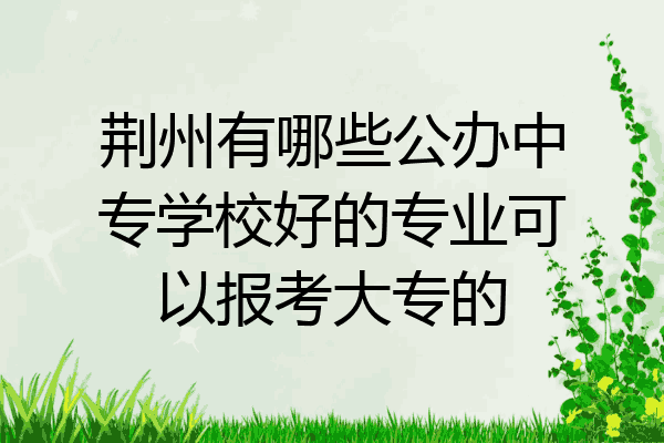 荆州有哪些公办中专学校好的专业可以报考大专的
