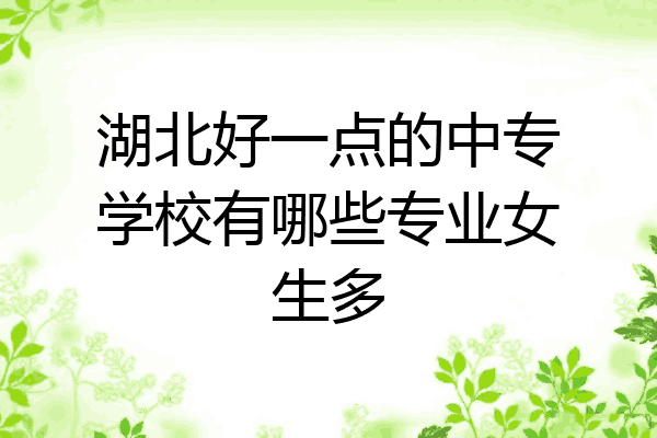 湖北好一点的中专学校有哪些专业女生多