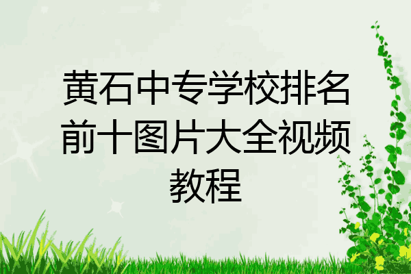 黄石中专学校排名前十图片大全视频教程