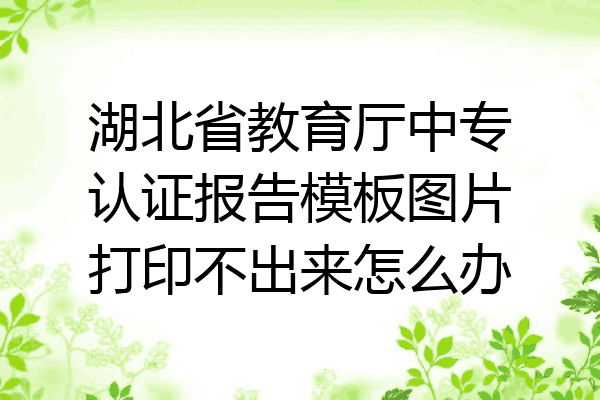湖北省教育厅中专认证报告模板图片打印不出来怎么办