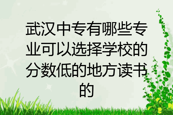 武汉中专有哪些专业可以选择学校的分数低的地方读书的