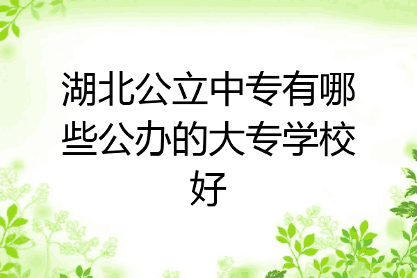 湖北公立中专有哪些公办的大专学校好