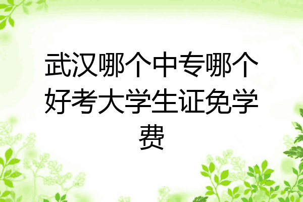武汉哪个中专哪个好考大学生证免学费