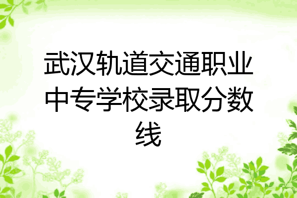 武汉轨道交通职业中专学校录取分数线