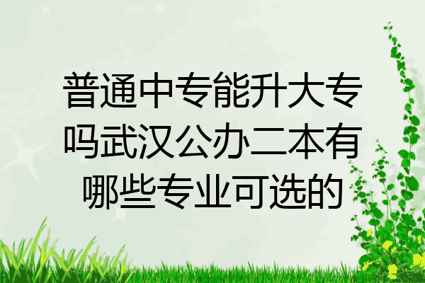 普通中专能升大专吗武汉公办二本有哪些专业可选的