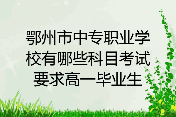 鄂州市中专职业学校有哪些科目考试要求高一毕业生