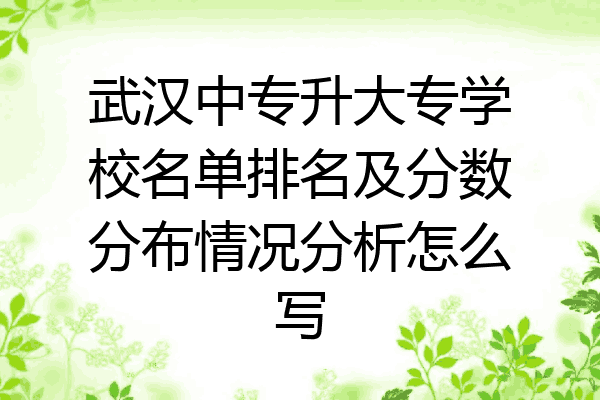 武汉中专升大专学校名单排名及分数分布情况分析怎么写