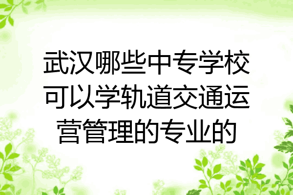 武汉哪些中专学校可以学轨道交通运营管理的专业的