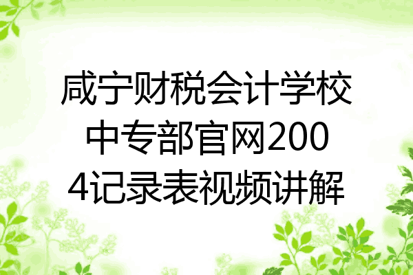 咸宁财税会计学校中专部官网2004记录表视频讲解