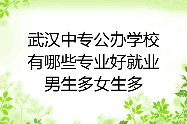 武汉中专公办学校有哪些专业好就业男生多女生多