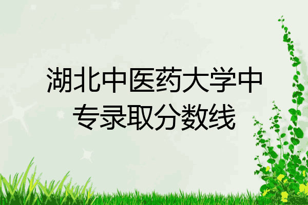 湖北中医药大学中专录取分数线