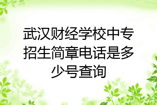 武汉财经学校中专招生简章电话是多少号查询