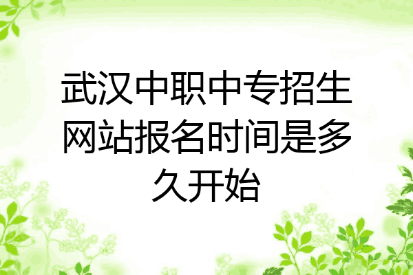武汉中职中专招生网站报名时间是多久开始