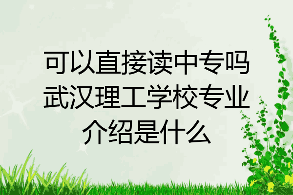 可以直接读中专吗武汉理工学校专业介绍是什么