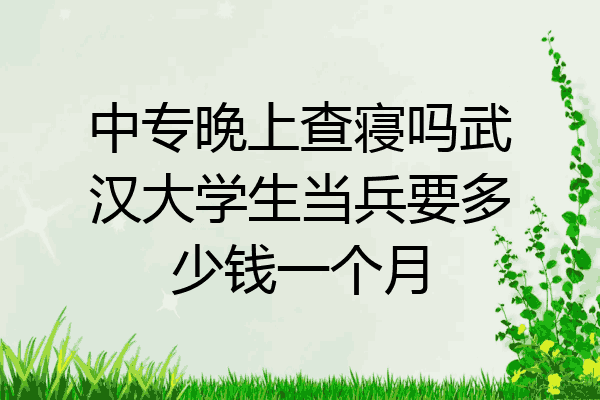 中专晚上查寝吗武汉大学生当兵要多少钱一个月