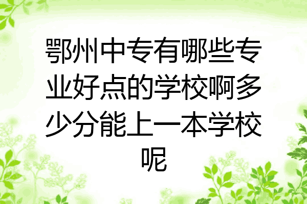 鄂州中专有哪些专业好点的学校啊多少分能上一本学校呢