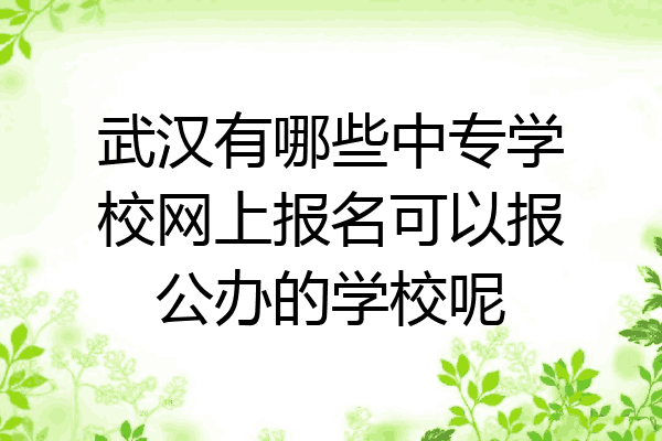 武汉有哪些中专学校网上报名可以报公办的学校呢