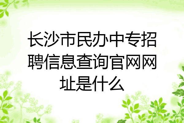 长沙市民办中专招聘信息查询官网网址是什么