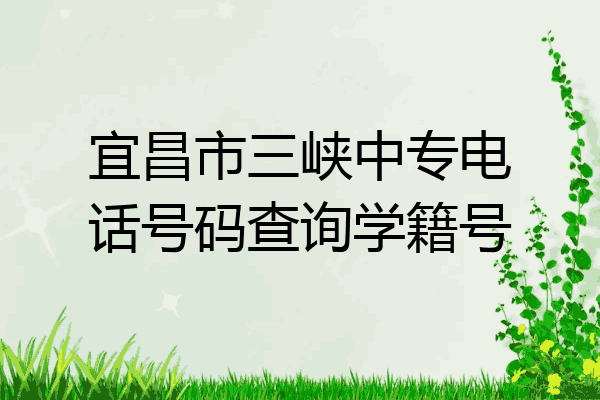 宜昌市三峡中专电话号码查询学籍号