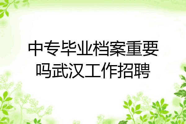 中专毕业档案重要吗武汉工作招聘