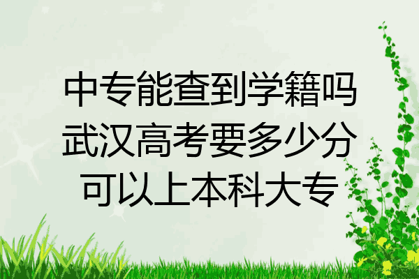 中专能查到学籍吗武汉高考要多少分可以上本科大专
