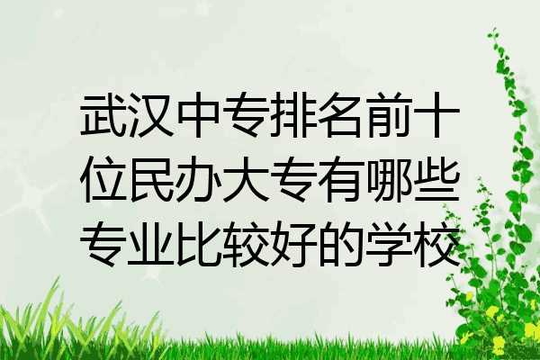 武汉中专排名前十位民办大专有哪些专业比较好的学校