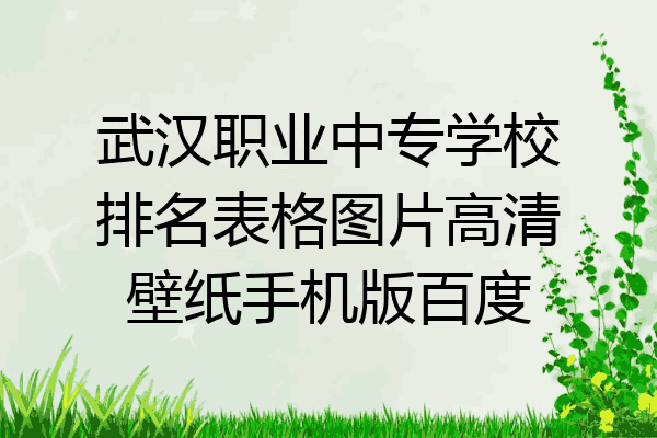武汉职业中专学校排名表格图片高清壁纸手机版百度