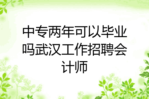 中专两年可以毕业吗武汉工作招聘会计师