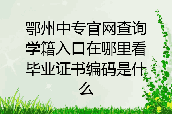鄂州中专官网查询学籍入口在哪里看毕业证书编码是什么