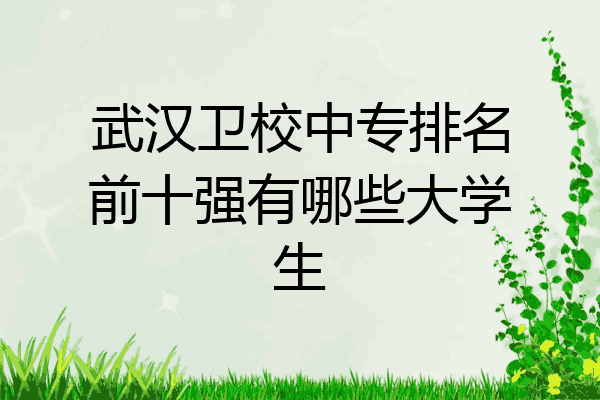 武汉卫校中专排名前十强有哪些大学生