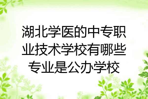 湖北学医的中专职业技术学校有哪些专业是公办学校