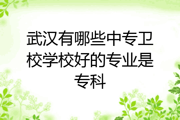 武汉有哪些中专卫校学校好的专业是专科