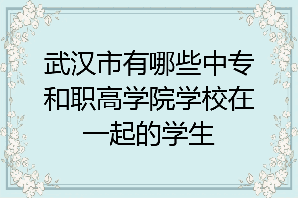 武汉市有哪些中专和职高学院学校在一起的学生