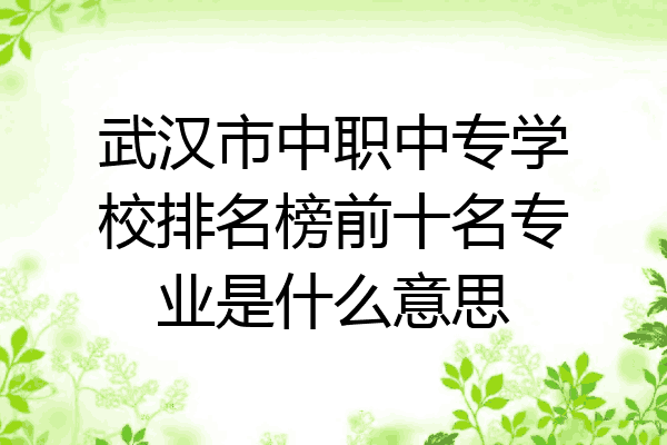 武汉市中职中专学校排名榜前十名专业是什么意思