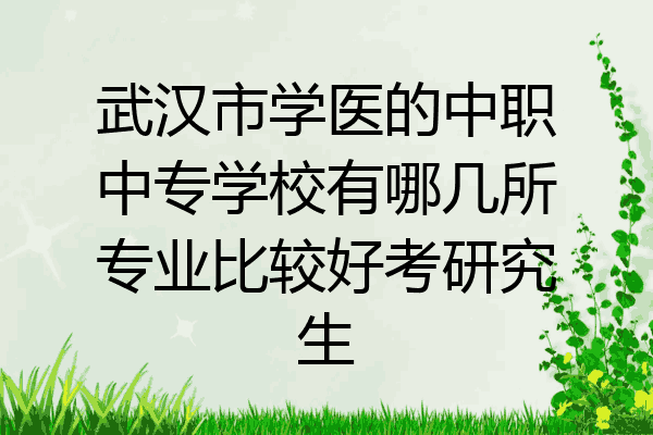 武汉市学医的中职中专学校有哪几所专业比较好考研究生