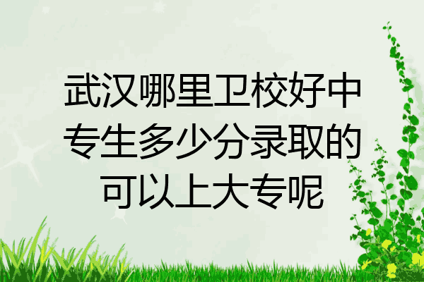 武汉哪里卫校好中专生多少分录取的可以上大专呢