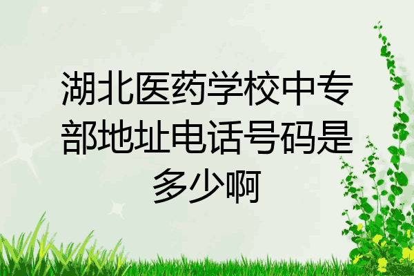 湖北医药学校中专部地址电话号码是多少啊