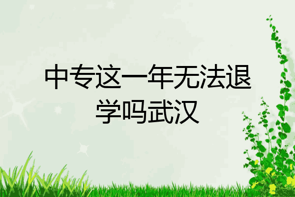 中专这一年无法退学吗武汉