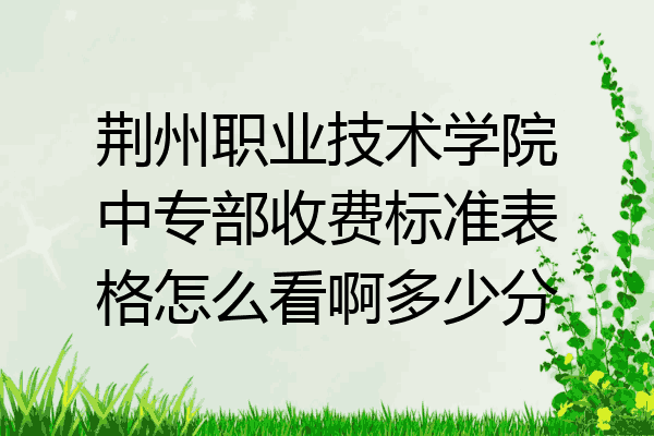 荆州职业技术学院中专部收费标准表格怎么看啊多少分